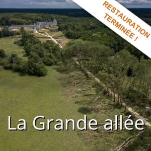 grande_allee_terminee